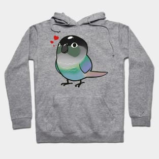 Conure 4 Hoodie